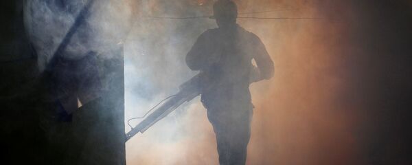 La fumigación de una casa para matar mosquitos durante una campaña contra el dengue - Sputnik Mundo