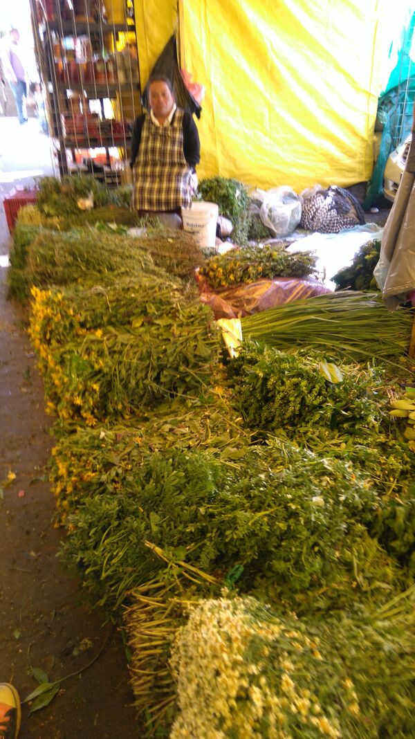 Hierbas medicinales Hierbas medicinales - Sputnik Mundo