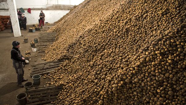 Un montón de papas - Sputnik Mundo