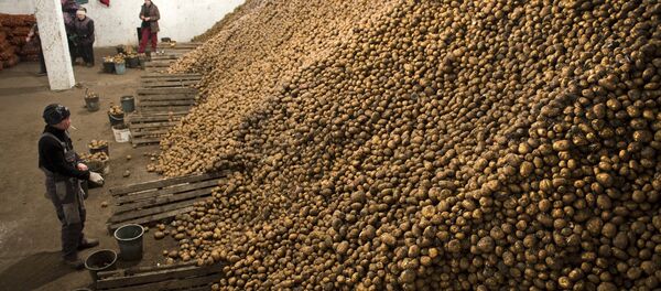 Un montón de papas Un montón de papas - Sputnik Mundo