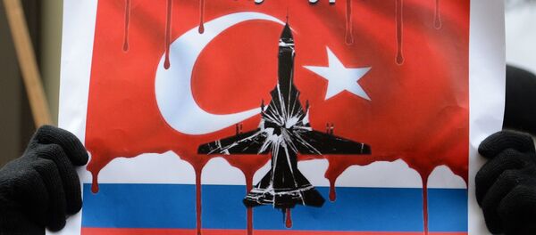 Protestas en Moscú tras el derribo del Su-24 ruso - Sputnik Mundo