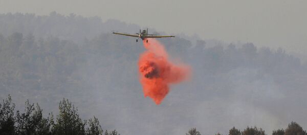 Un avión israelí apaga incendios en la localidad de Nataf Un avión israelí apaga incendios en la localidad de Nataf - Sputnik Mundo