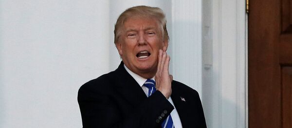 Donald Trump, presidente electo de EEUU - Sputnik Mundo