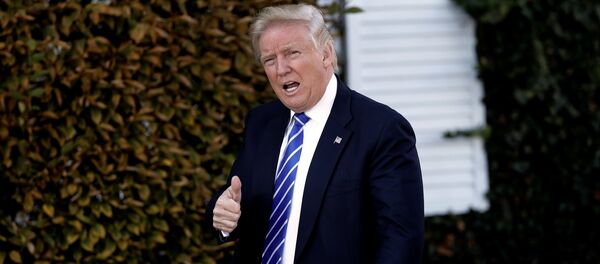 Donald Trump, presidente electo de EEUU - Sputnik Mundo