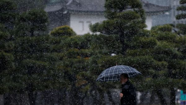 Nevada en Tokio, Japón Nevada en Tokio, Japón - Sputnik Mundo