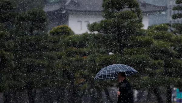 Nevada en Tokio, Japón - Sputnik Mundo