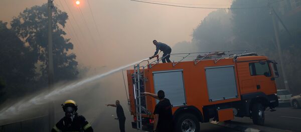 Incendios en Israel - Sputnik Mundo