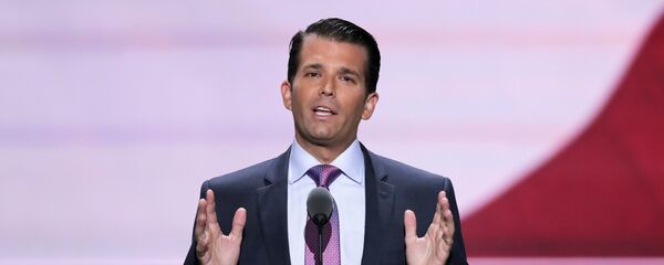Donald Trump, Jr., hijo del presidente de EEUU (archivo) - Sputnik Mundo