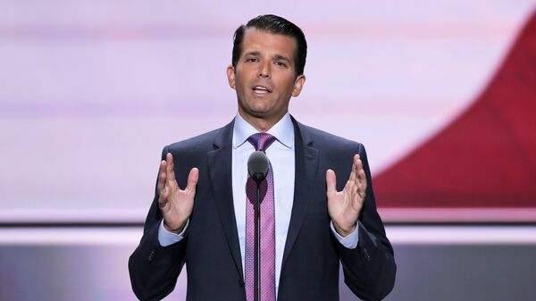 Donald Trump, Jr., hijo del presidente de EEUU (archivo) - Sputnik Mundo