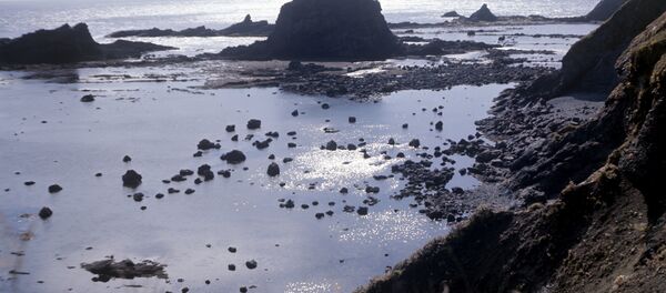 La isla Matua del archipiélago de las Kuriles - Sputnik Mundo