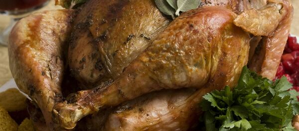 El plato principal del Día de Acción de Gracias - Sputnik Mundo