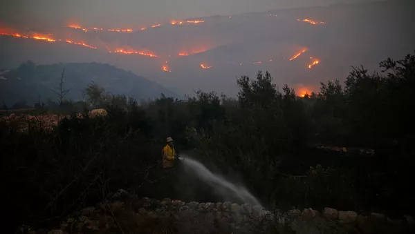 Los incendios en Israel - Sputnik Mundo