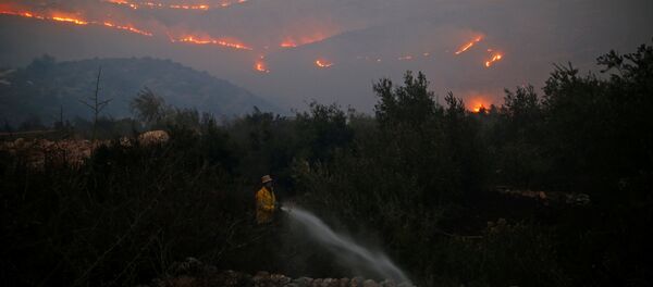 Los incendios en Israel Los incendios en Israel - Sputnik Mundo