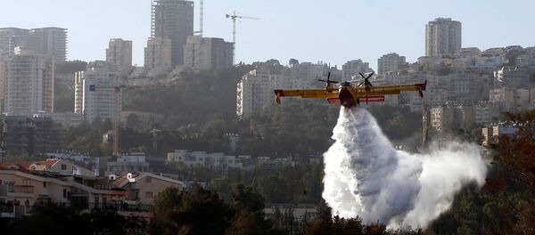 El avión apaga incendios en los alrededores de Haifa - Sputnik Mundo