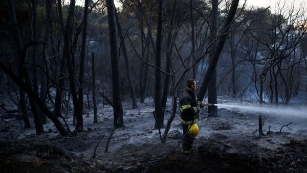 Los incendios en Israel Los incendios en Israel - Sputnik Mundo