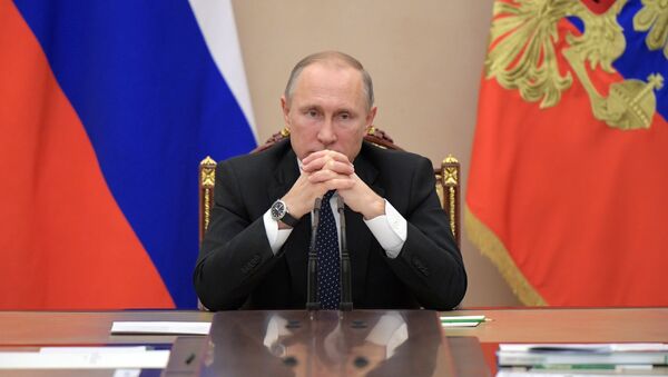 Vladímir Putin, el presidente de Rusia - Sputnik Mundo