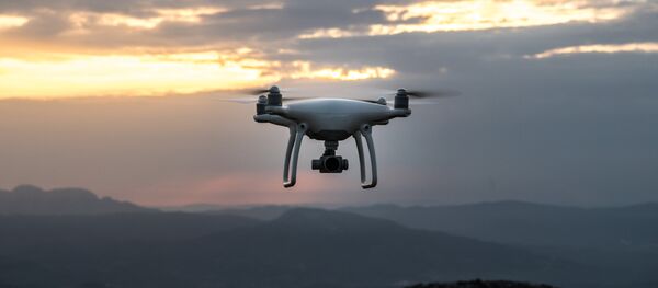 Dron - Sputnik Mundo