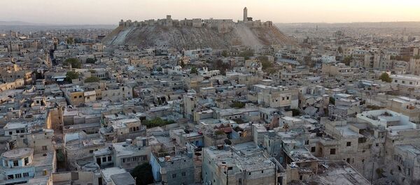 A file photo shows general view taken with a drone showing Aleppo's historic citadel, controlled by forces loyal to Syria's President Bashar al-Assad, as seen from a rebel-held area of Aleppo - Sputnik Mundo