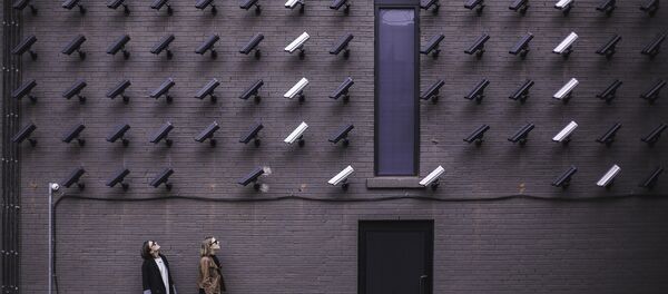 Cámaras de vigilancia - Sputnik Mundo