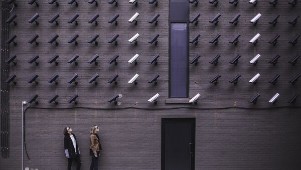 Cámaras de vigilancia - Sputnik Mundo
