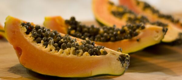 Papaya, fruta bomba, lechosa - Sputnik Mundo