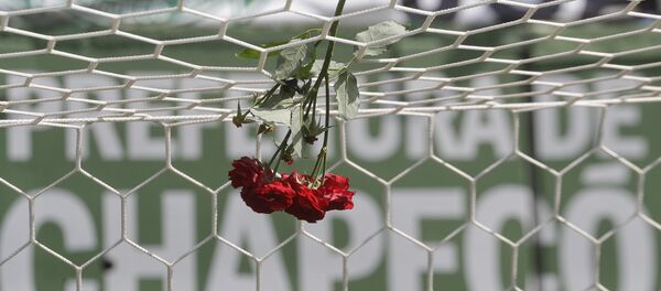 Flores en homenaje a las víctimas del siniestro en Medellín Flores en homenaje a las víctimas del siniestro en Medellín - Sputnik Mundo