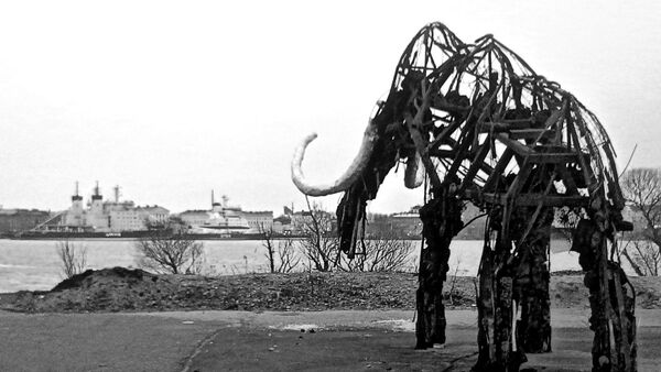 Invierno - Sputnik Mundo