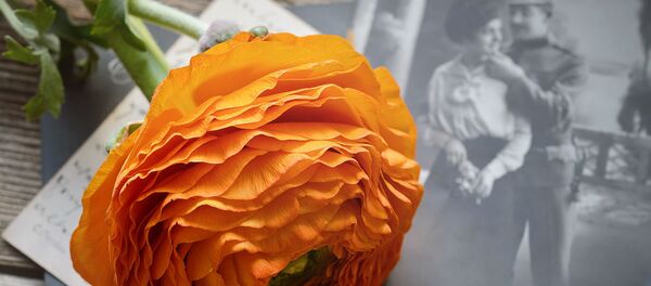 Tarjetas postales - Sputnik Mundo