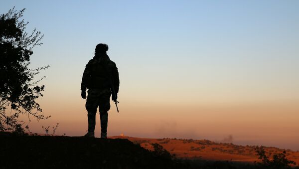 A rebel fighter stands with his weapon in Jubata al-Khashab, Quneitra province, Syria November 26, 2016. REUTERS/Alaa Al-Faqir - Sputnik Mundo