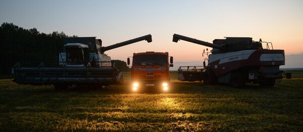 Cosecha de trigo en Rusia - Sputnik Mundo