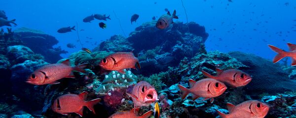 Underwater - Sputnik Mundo