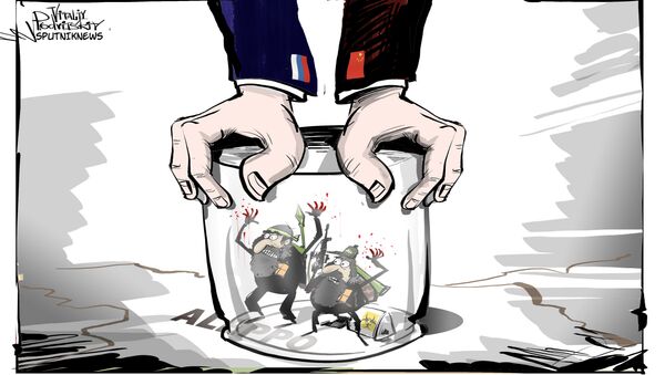 Rusia y China vetan resolución sobre Alepo en la ONU - Sputnik Mundo