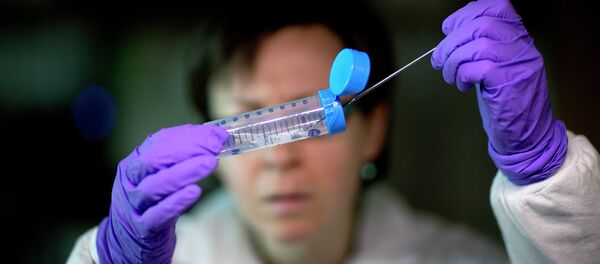 Una científica estudia las bacterias (archivo) Una científica estudia las bacterias (archivo) - Sputnik Mundo