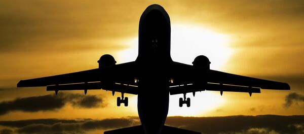 Un avión vuela en el cielo - Sputnik Mundo