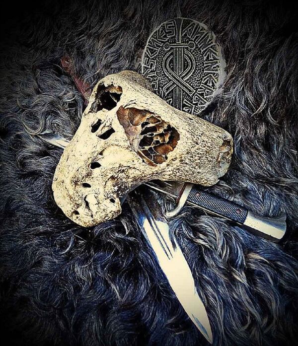 Сalavera encontrada en una maleta de la Ahnenerbe Сalavera encontrada en una maleta de la Ahnenerbe - Sputnik Mundo