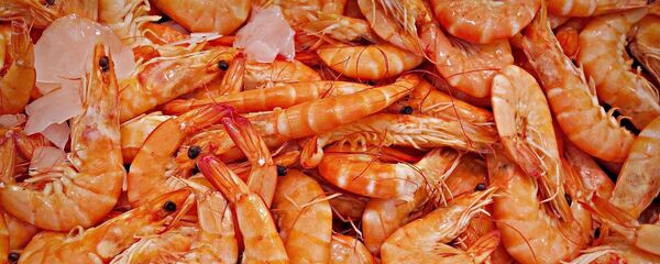 Camarones - Sputnik Mundo