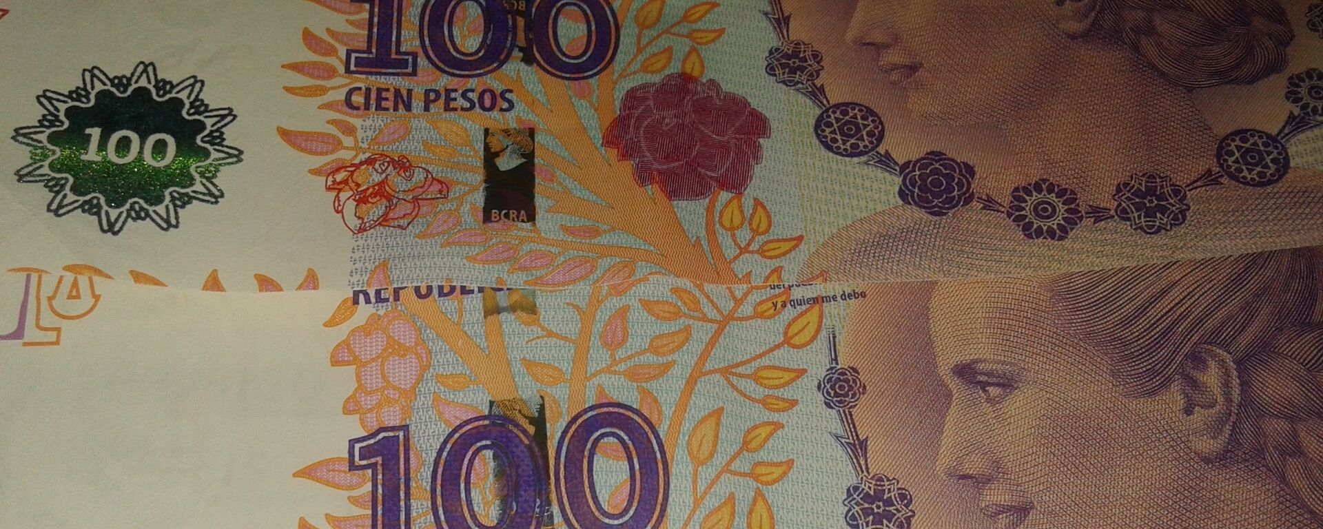 Pesos argentinos (imagen referencial) - Sputnik Mundo, 1920, 03.06.2021