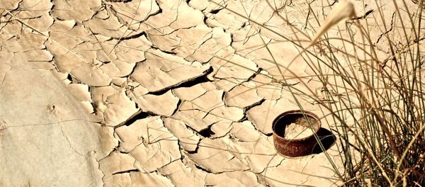 Un desierto (imagen referencial) - Sputnik Mundo