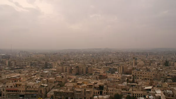 La situación en Siria - Sputnik Mundo
