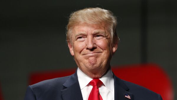 This file photo taken on October 31, 2016 shows US Republican Presidential nominee  addresses supporters at Macomb Community College in Warren, Michigan. - Sputnik Mundo