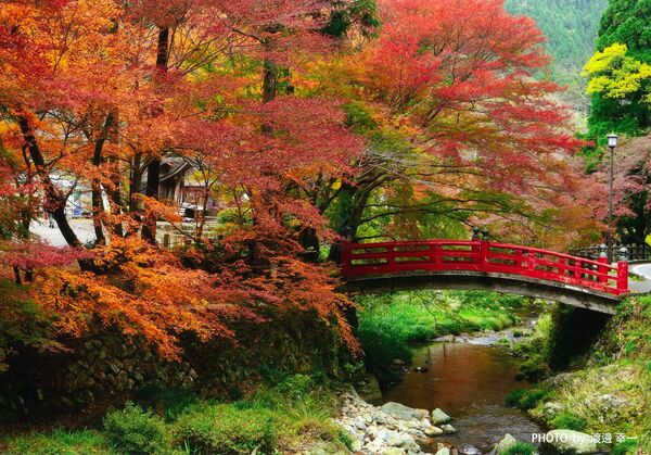 El paisaje otoñal de la ciudad de Nagato - Sputnik Mundo