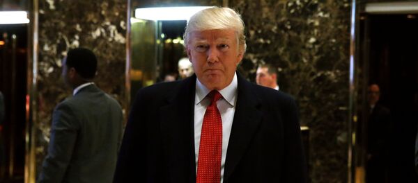 Donald Trump, presidente de EEUU - Sputnik Mundo