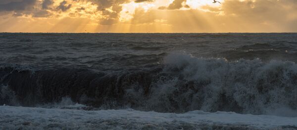 Mar Negro - Sputnik Mundo