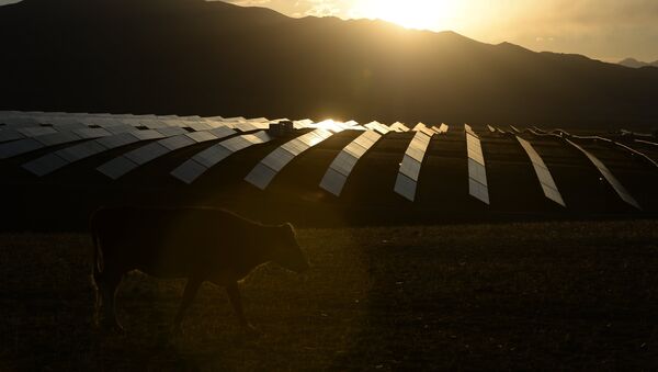 La central solar en Altai, Siberia (archivo) - Sputnik Mundo