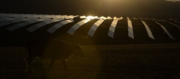 La central solar en Altai, Siberia (archivo) - Sputnik Mundo