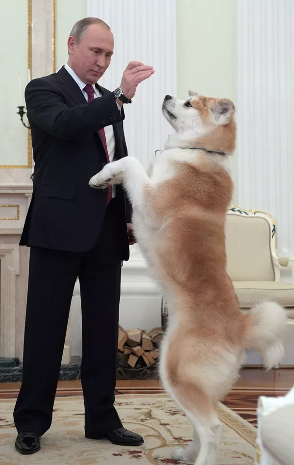 Vladímir Putin y sus perros Vladímir Putin y sus perros - Sputnik Mundo