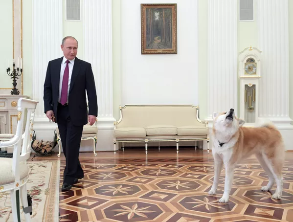 Vladímir Putin y sus perros Vladímir Putin y sus perros - Sputnik Mundo
