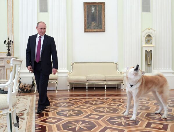 Vladímir Putin y sus perros - Sputnik Mundo