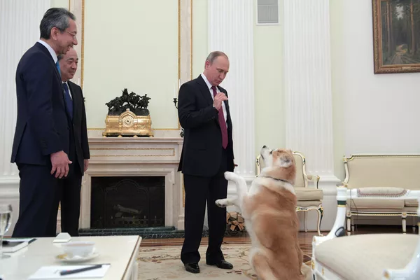 Vladímir Putin y sus perros Vladímir Putin y sus perros - Sputnik Mundo