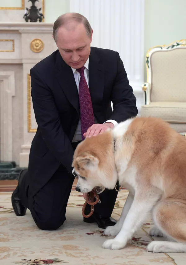 Vladímir Putin y sus perros Vladímir Putin y sus perros - Sputnik Mundo